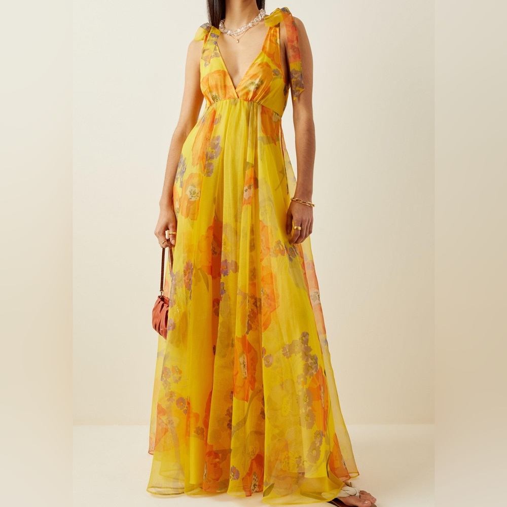Staud Dandelion Floral Organza Maxi Dress
